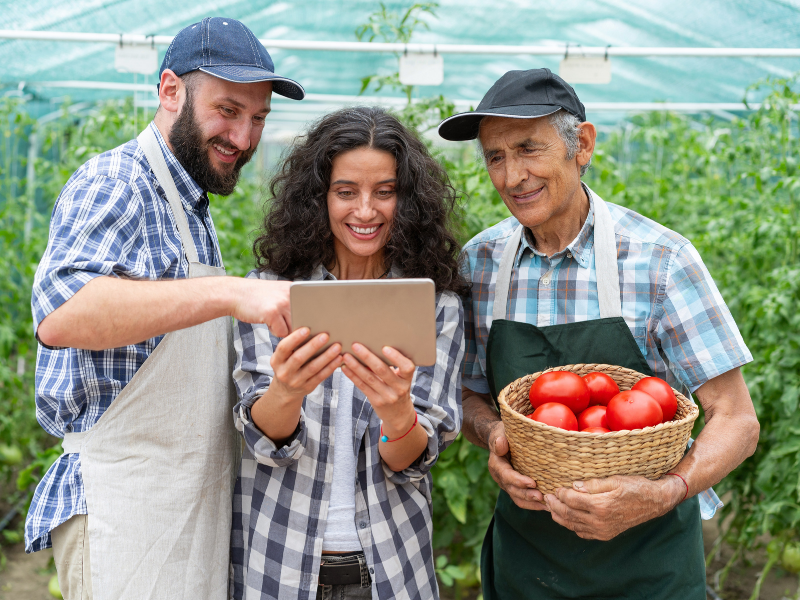 3 people looking at an ipad on a farm