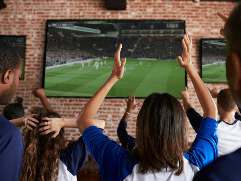 Group cheering during soccer game