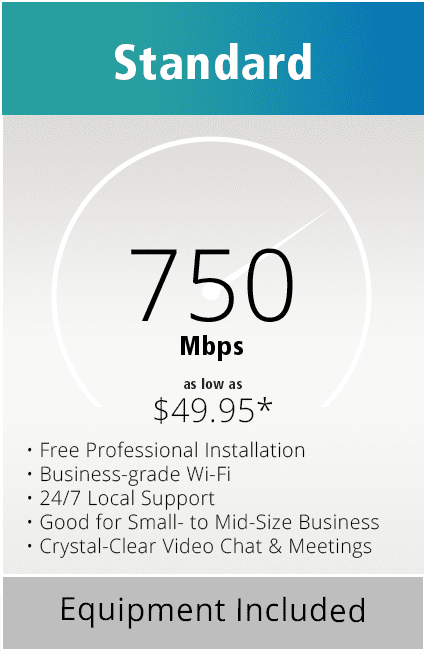 Standard business internet package