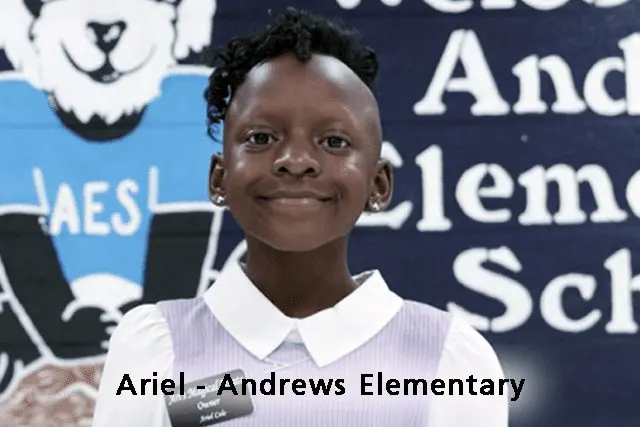 Ariel - Andrews Elementary School