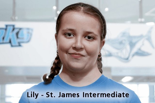 Lily - St. James Intermediate