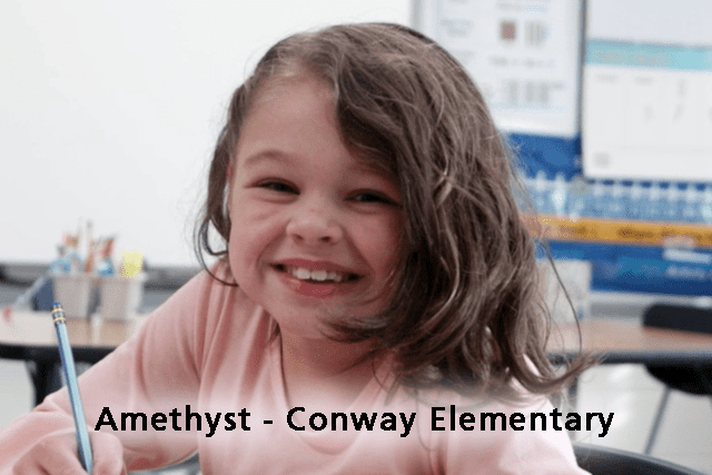 Amethyst - Conway Elementary School