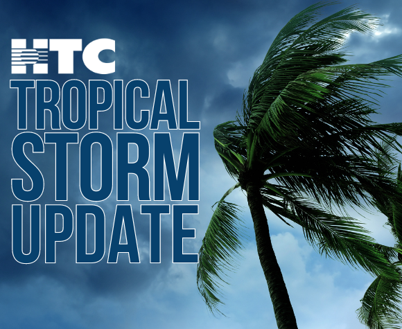 Storm winds and palm trees