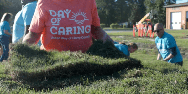 Volunteers wearing United Way of Horry County “Day of Caring” shirts lay down strips of grass on a lawn during service event.