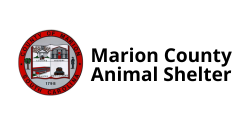 marion county animal shelter