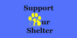 support-our-shelter 250X125