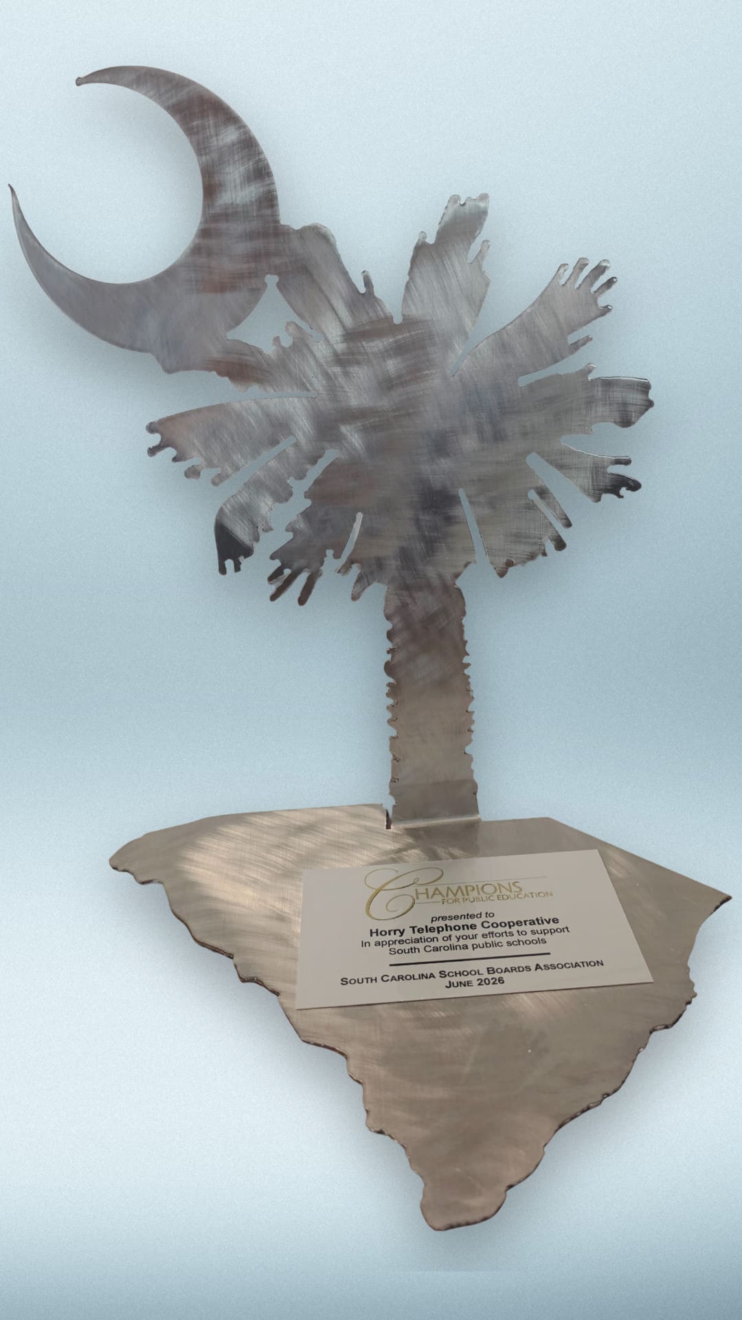 Champions for Public Education Award from SCSBA 2026